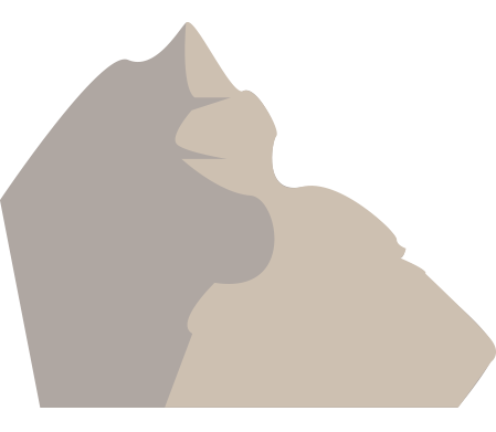 Illustratie van een berg